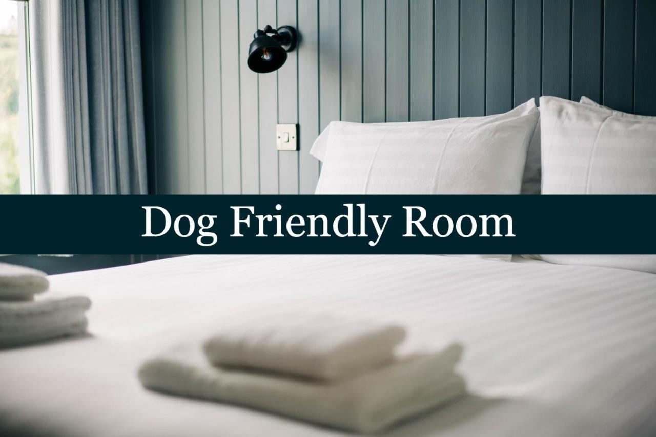 Bryn Berwyn Country House Tresaith Penbryn Ngoại thất bức ảnh